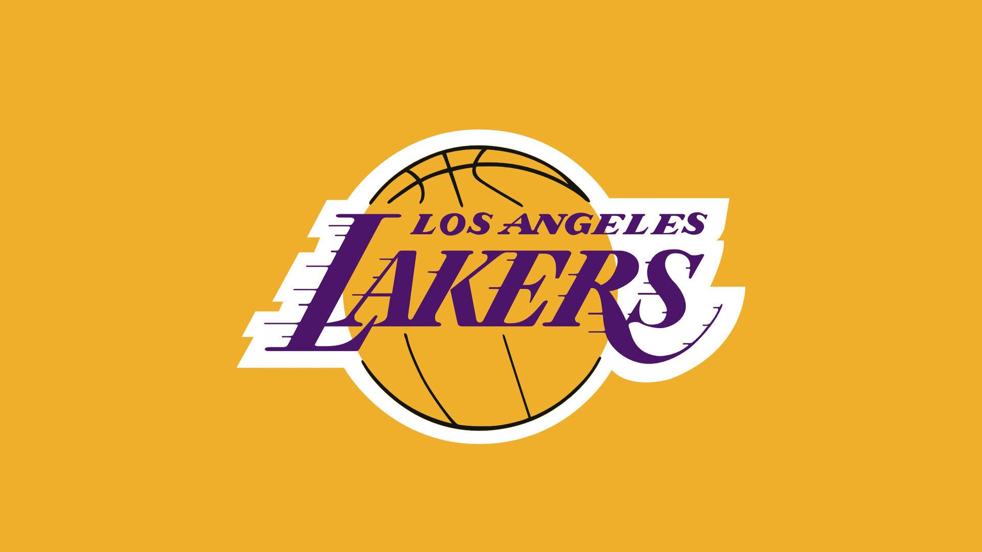 废弃的球员护腿板被捡走收藏，nba球员护腿